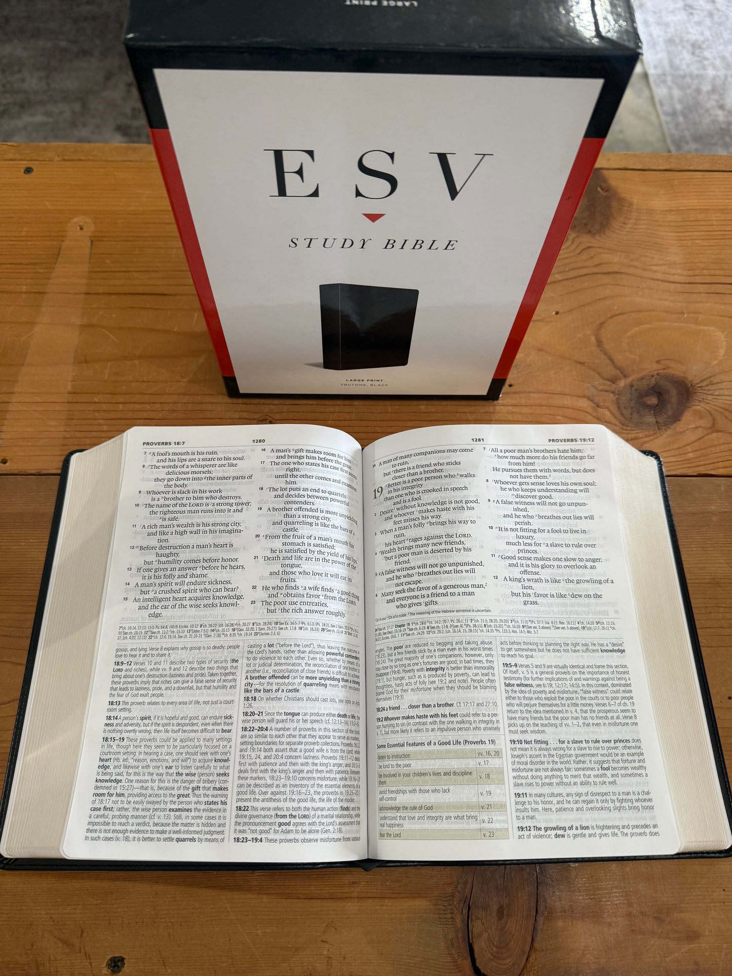 ESV Large Print Study Bible
