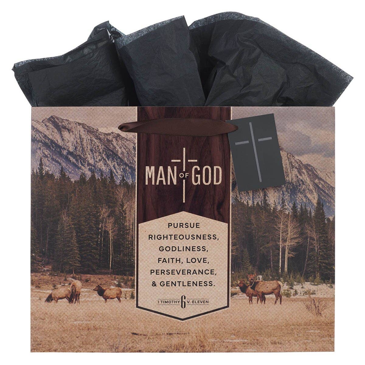 Gift Bag LG Landscape Man of God 1 Tim. 6:11
