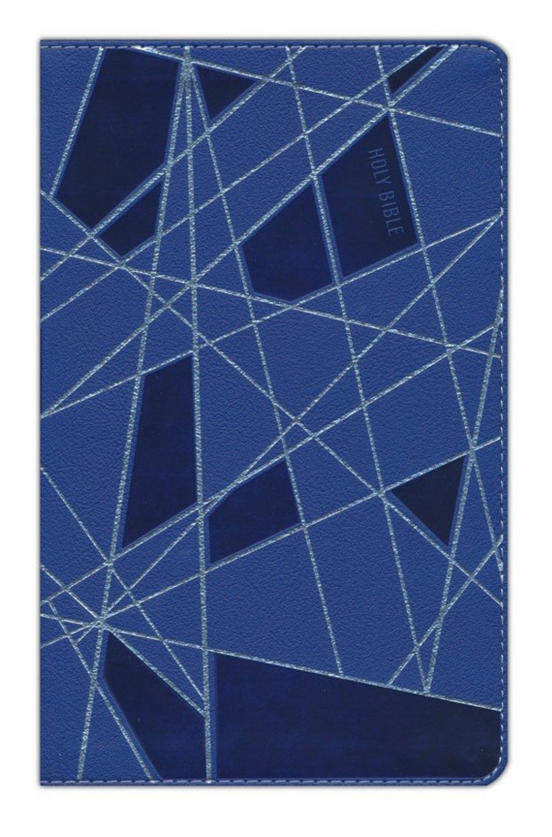 NIV Premium Gift Bible-Youth Edition