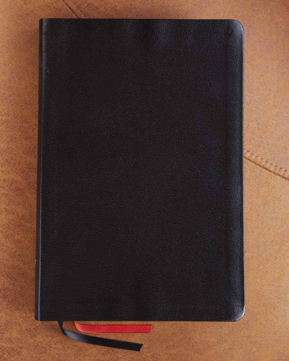 NIV Giant Print Thinline Bible-Black Bonded Leather