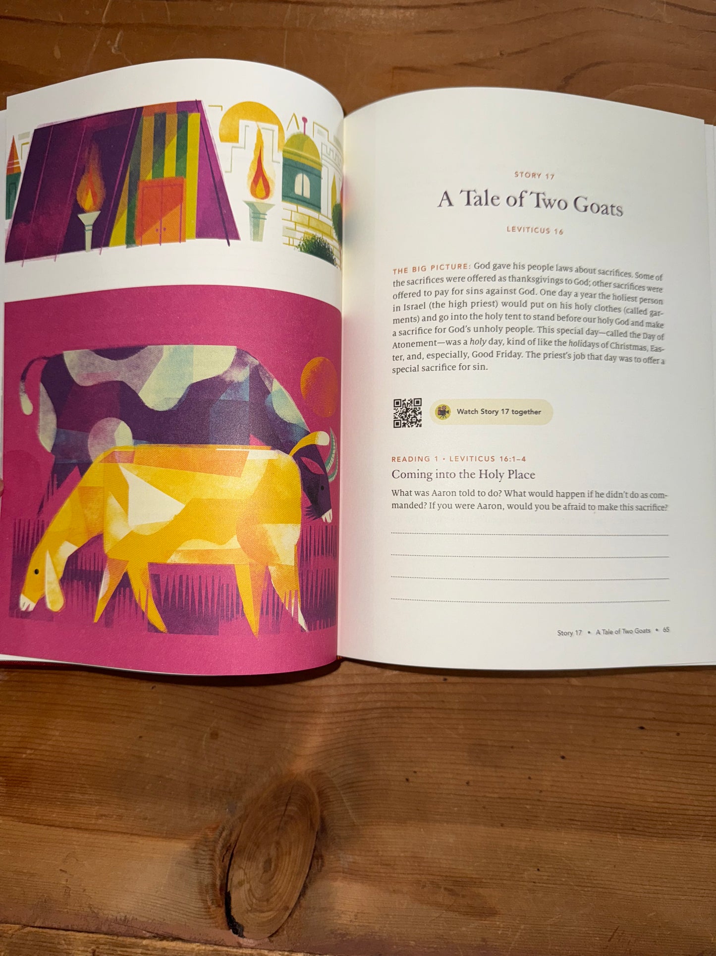 The Biggest Story Family Devotional