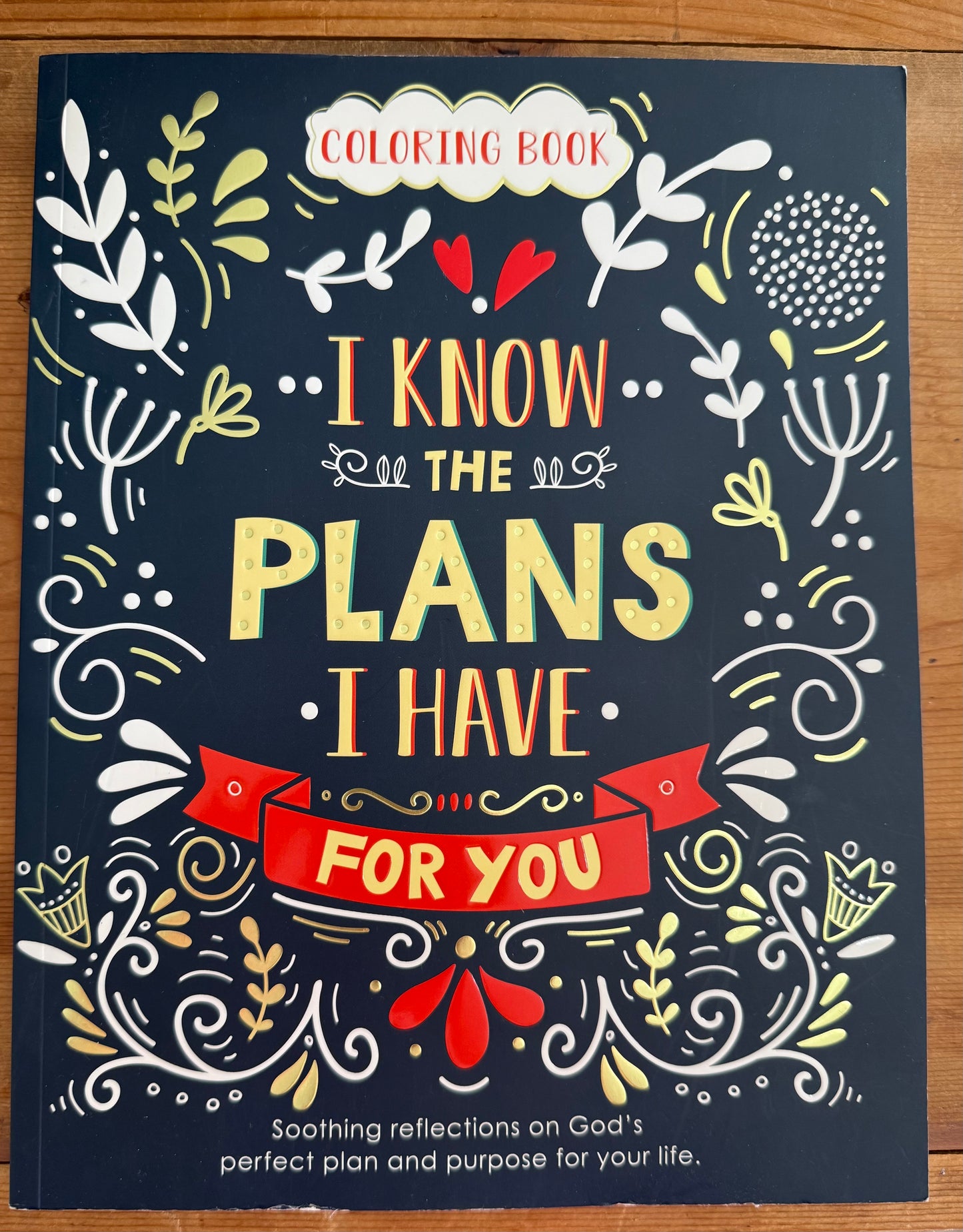 "I Know the Plans" Coloring Book