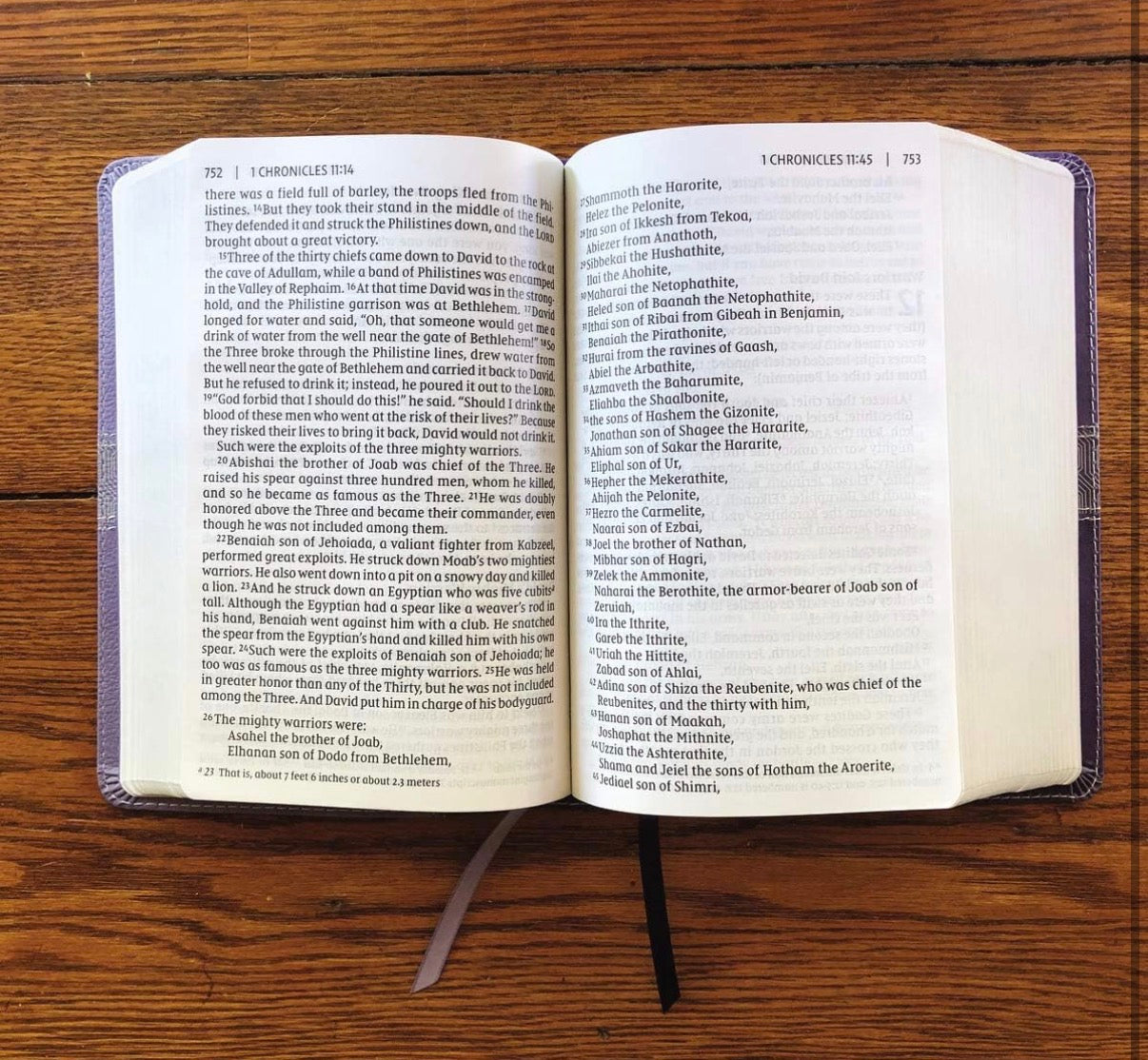 NIV Purple Leathersoft Giant Print Compact Bible