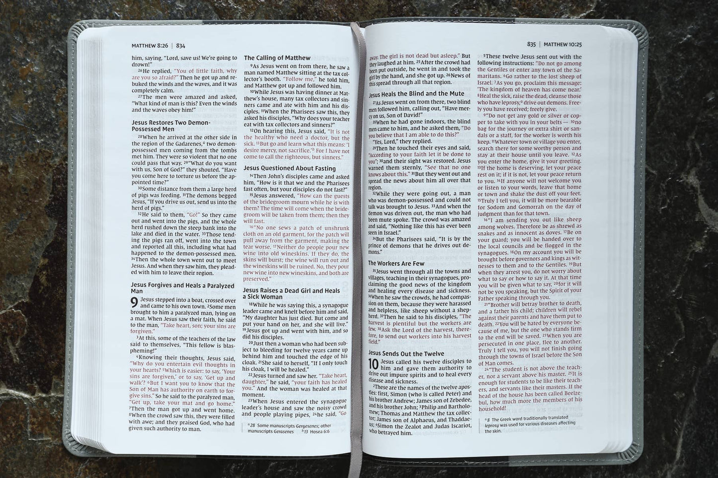 NIV Bible for Kids, Leathersoft, Gray