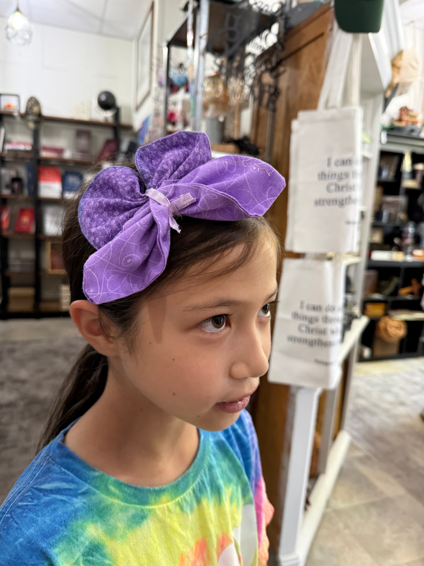 Three Sisters Shenanigans Custom Butterfly Headbands, Barrettes, Hairclips