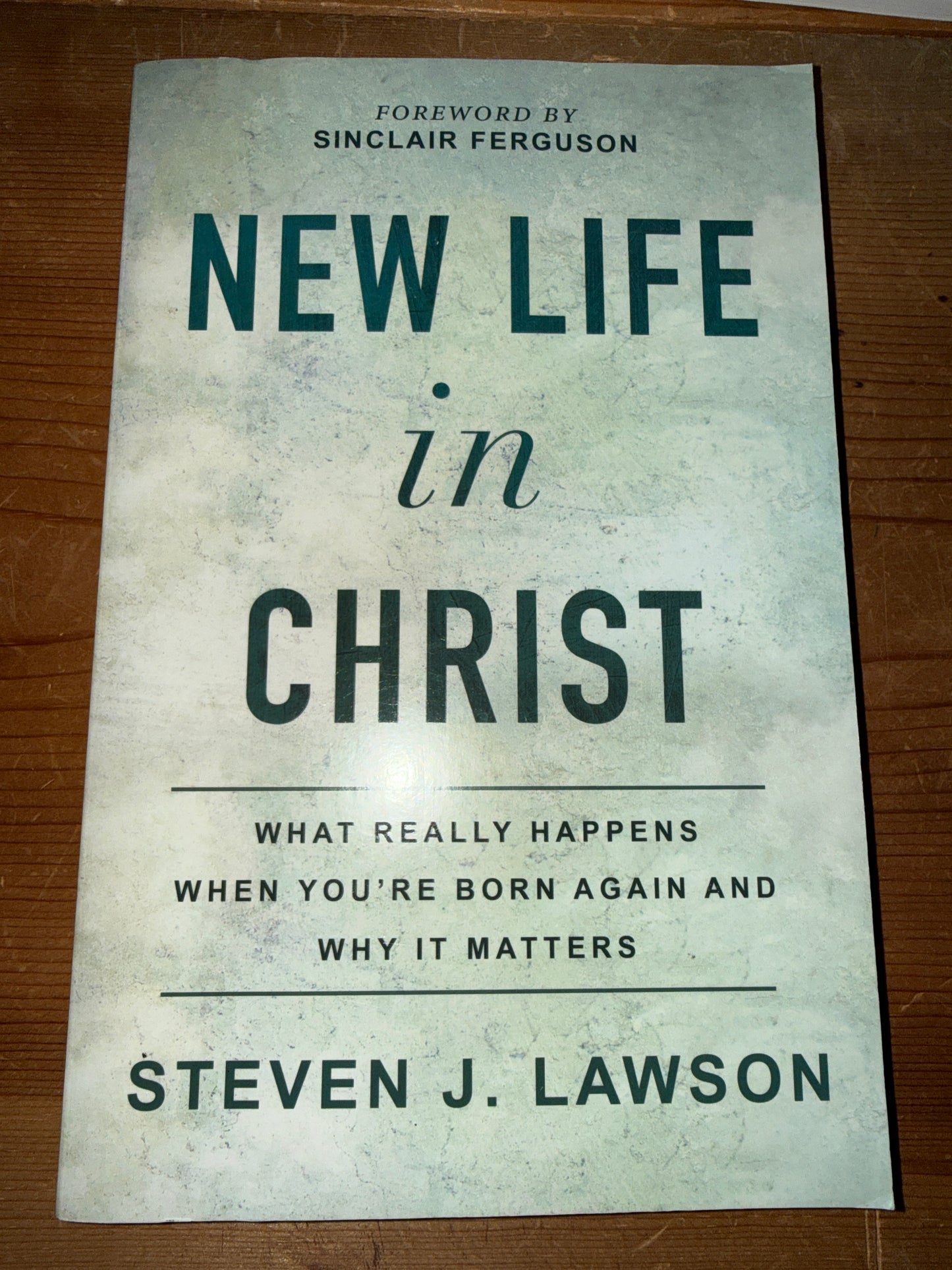 “New Life in Christ” by Steven Lawson