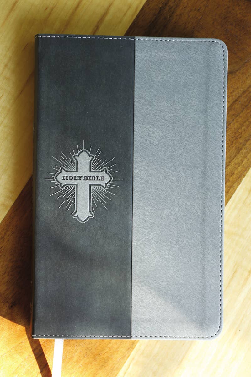 NIV Bible for Kids, Leathersoft, Gray
