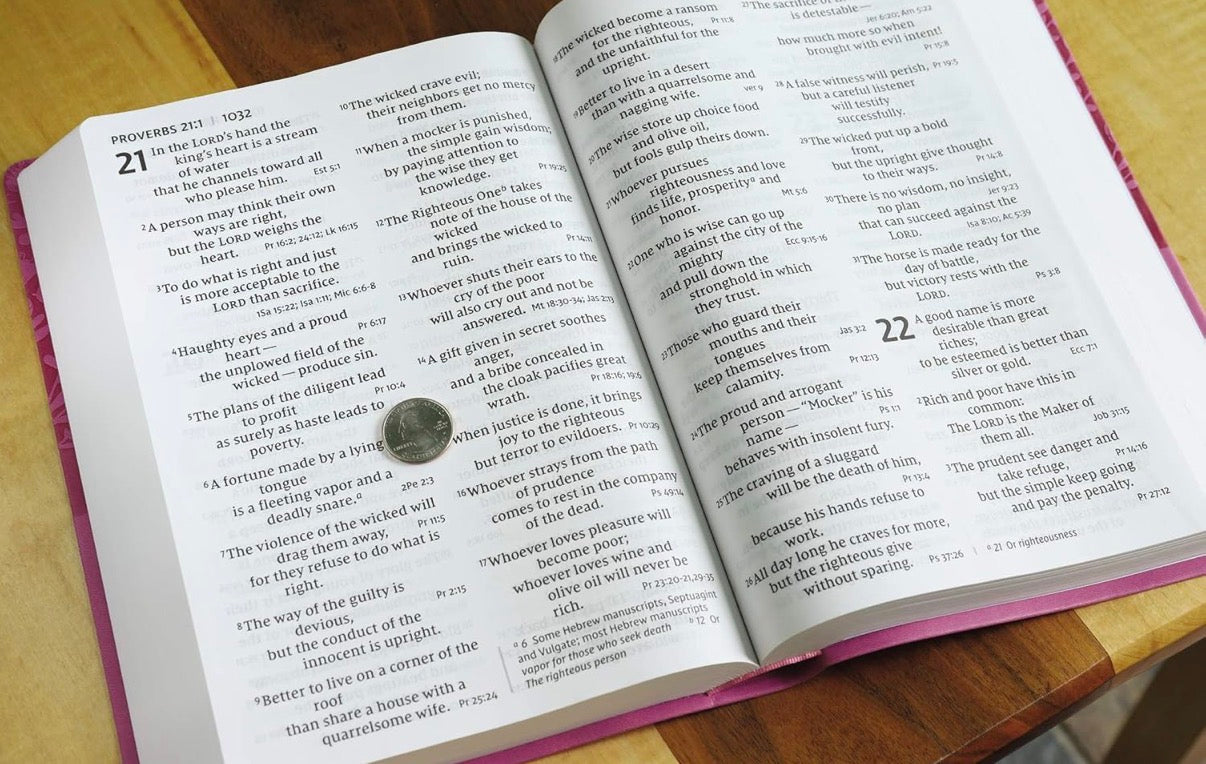 NIV Pink Leathersoft Super Giant Print Reference Bible