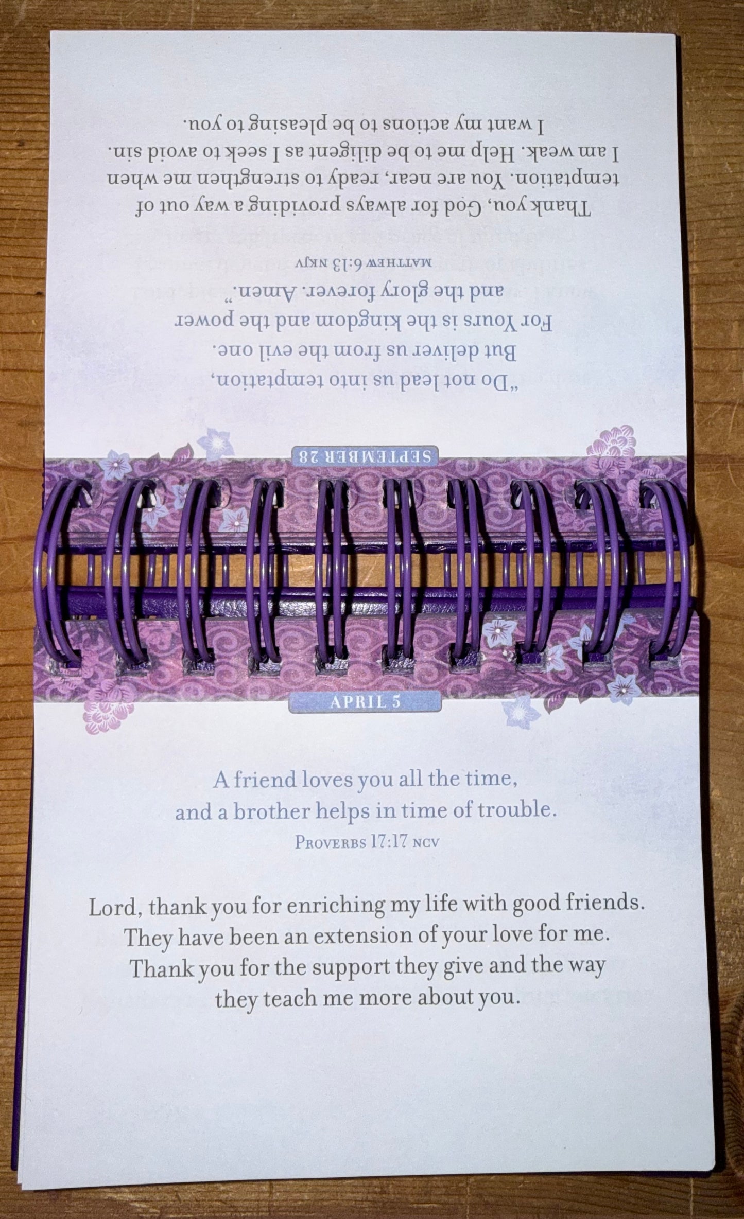 Daily Prayers and Promises for Women