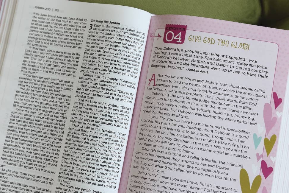 NIV Heart of Gold Holy Bible, Hardcover