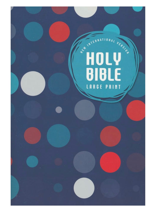 NIV Outreach Large Print Bible for Kids