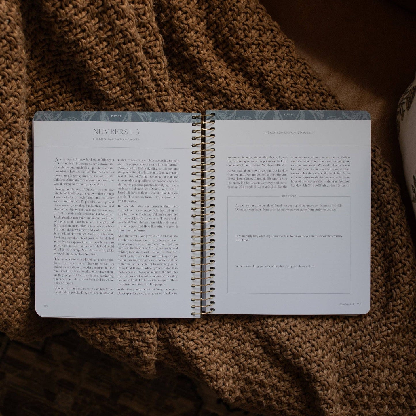 A Year in the Bible | Volume 1 Bible Study