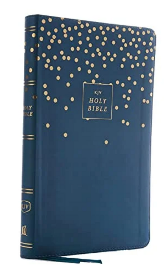 KJV Thinline Bible Youth Edition