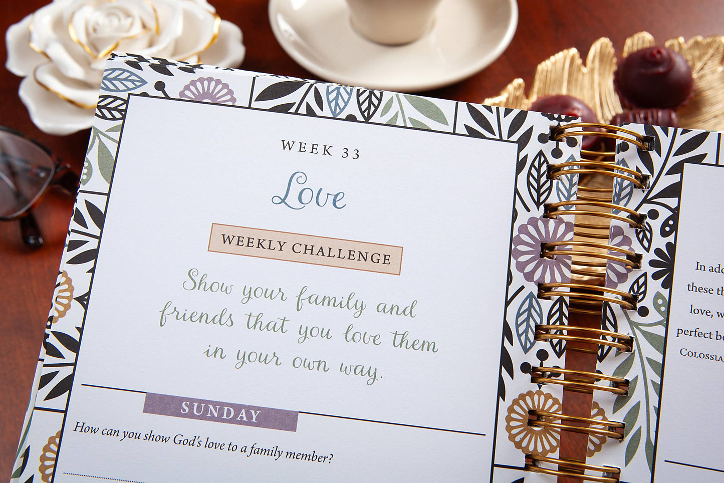 Daily Bible Study for Women (Devotional Journal) NEW!