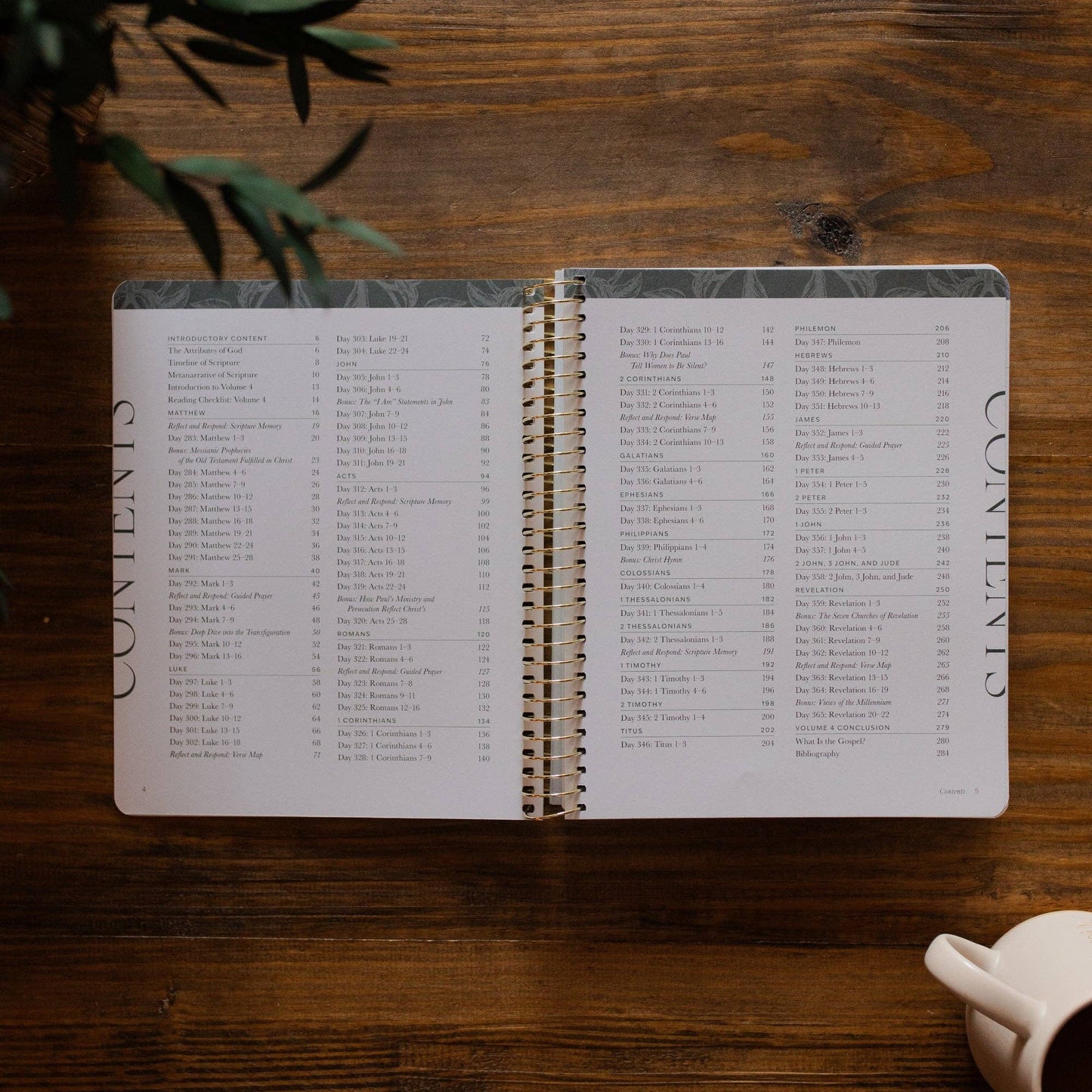 A Year in the Bible | Volume 4 Bible Study