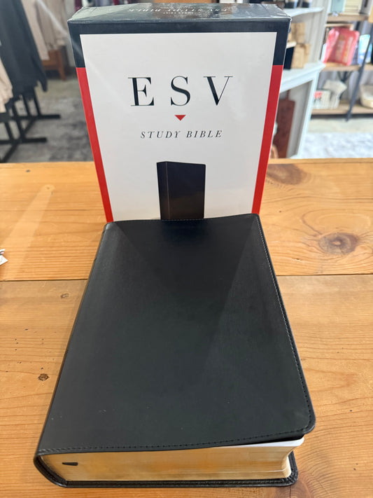ESV Large Print Study Bible