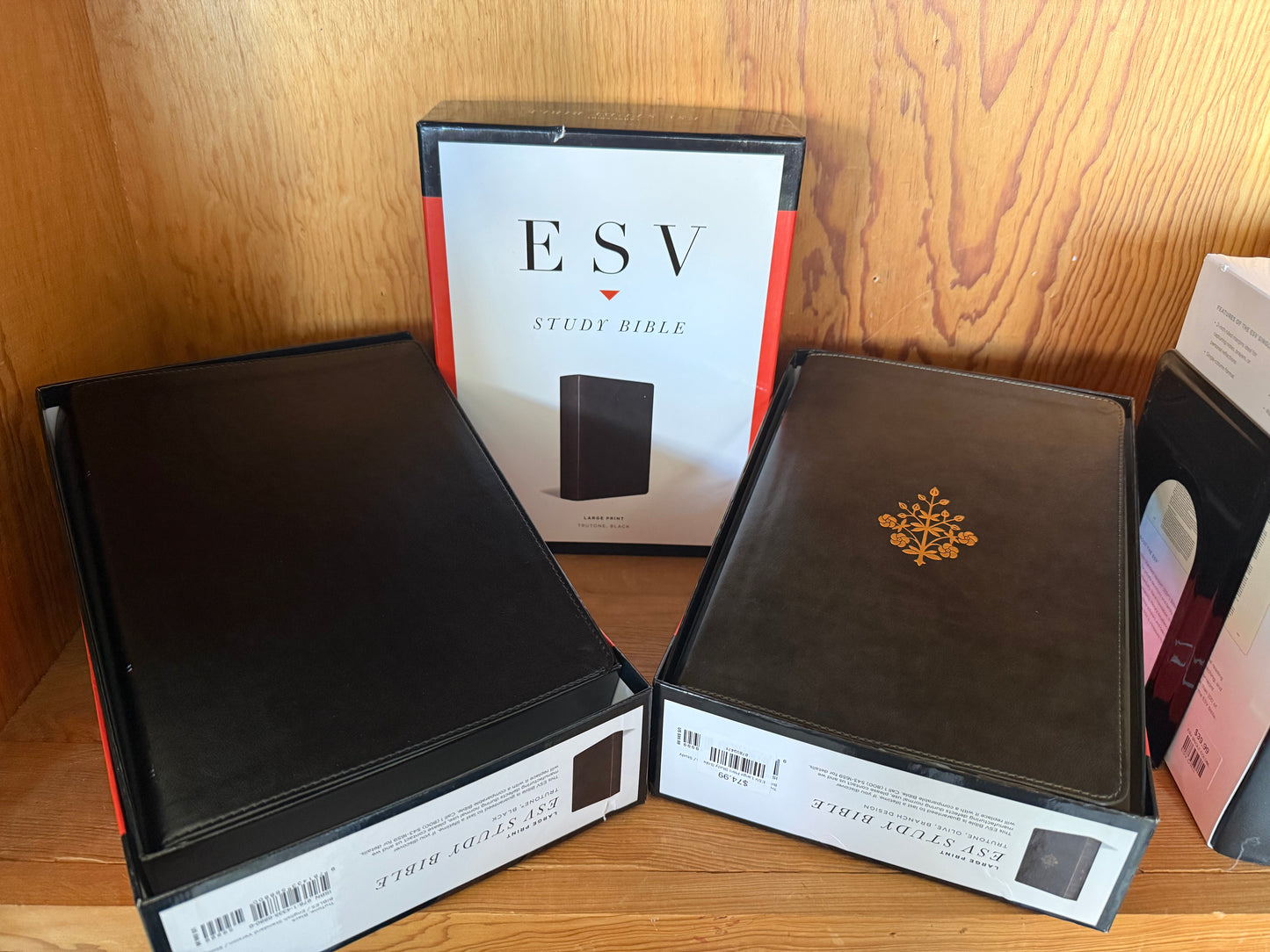 ESV Large Print Study Bible