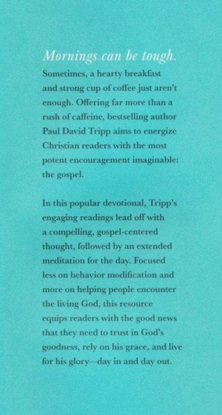 New Morning Mercies by Paul Tripp