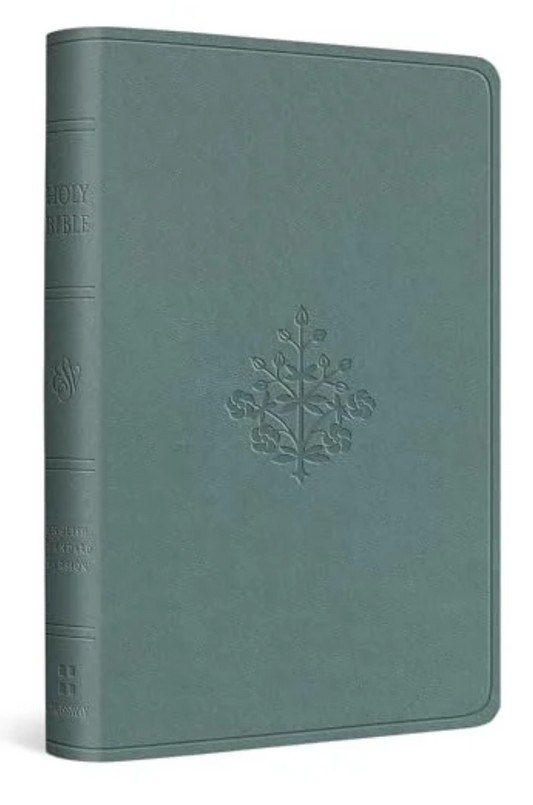 ESV, VALUE COMPACT BIBLE (TRUTONE, PARIS SKY, BRANCH DESIGN)