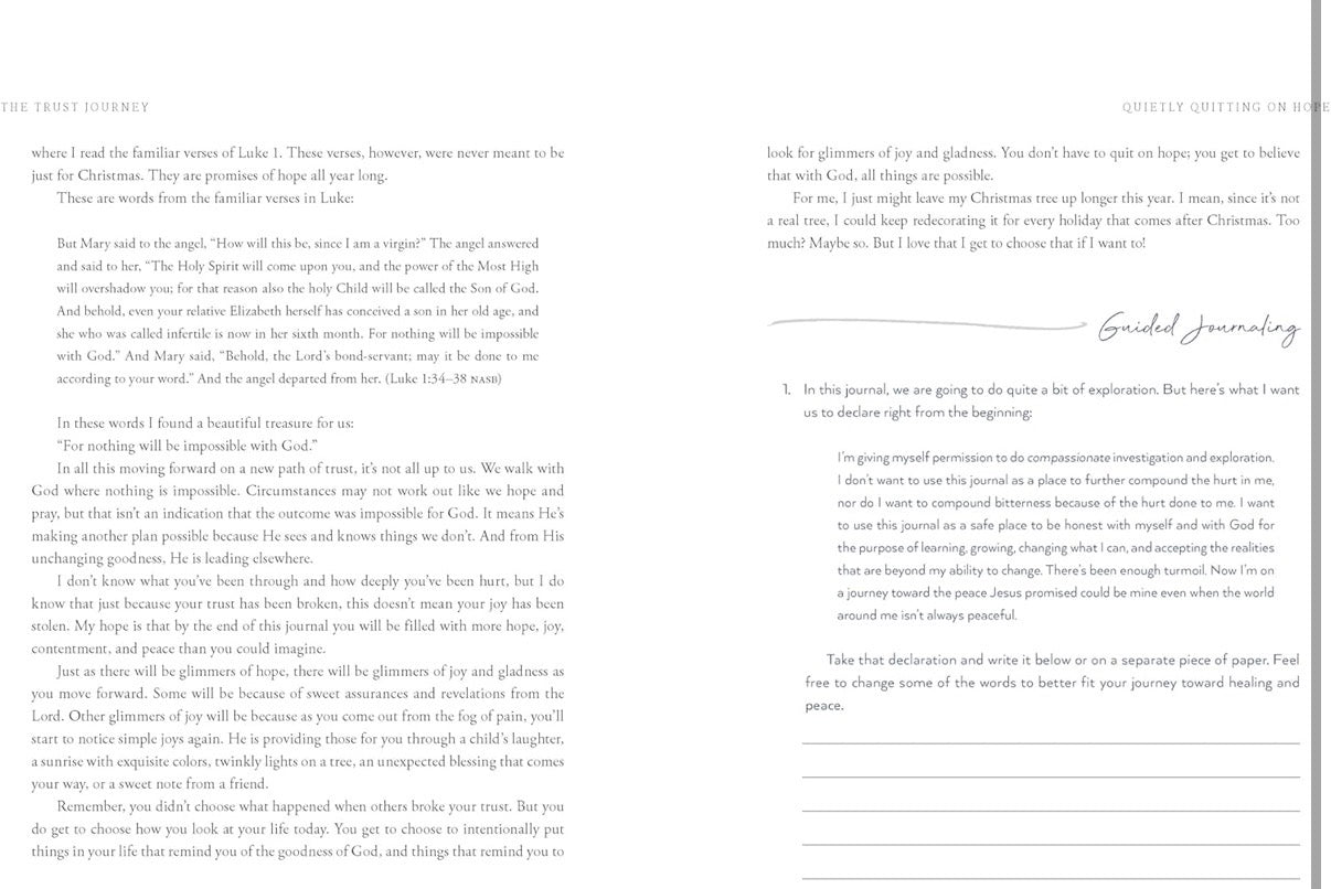 The Trust Journey-Lysa Terkeurst
