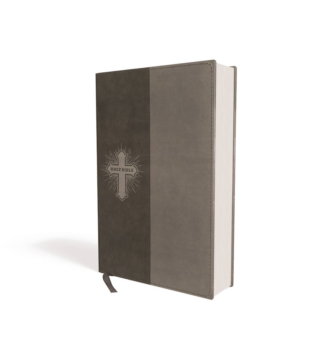 NIV Bible for Kids, Leathersoft, Gray