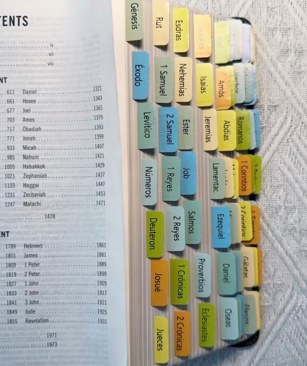 Vibrant Colors Spanish Bible Tabs