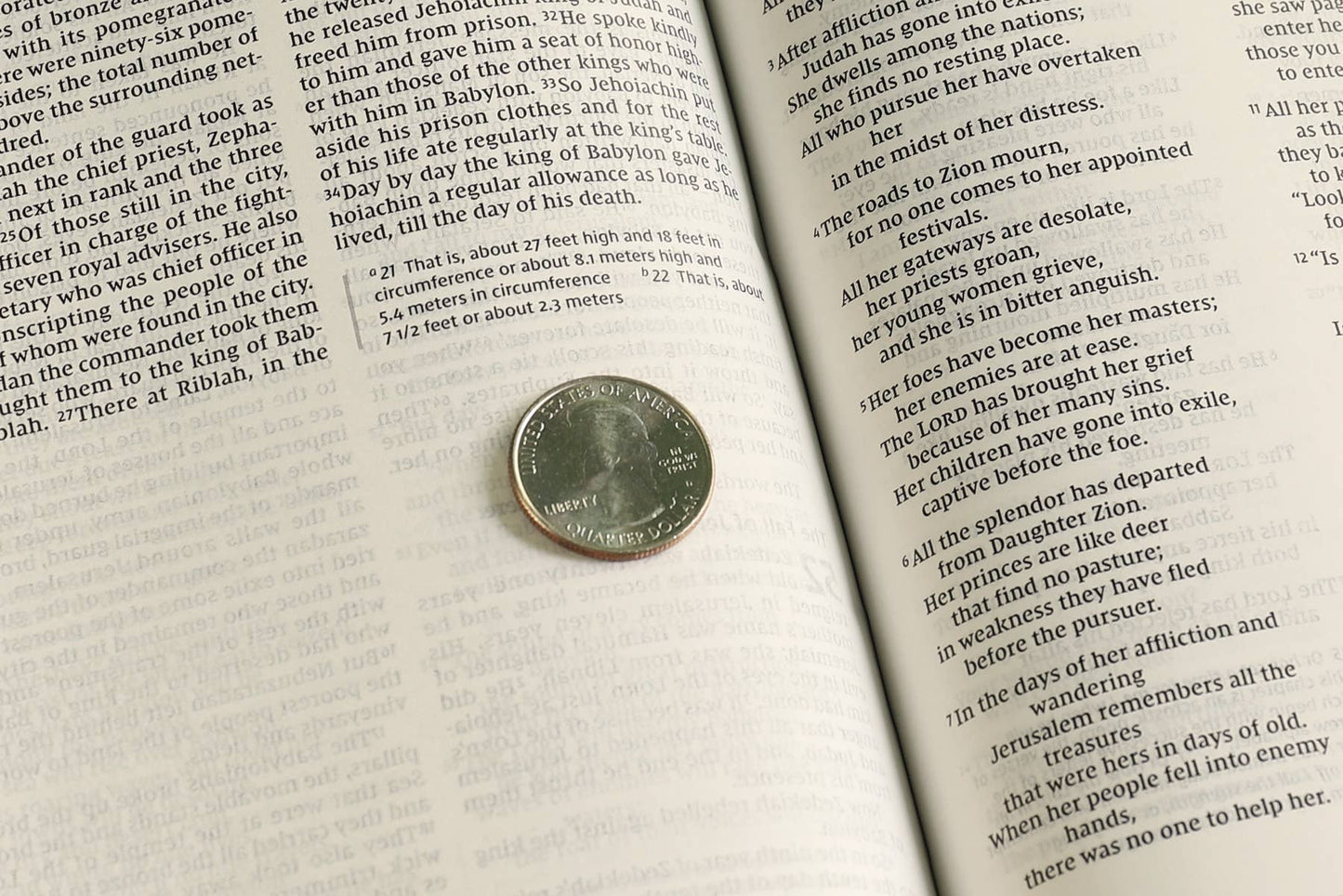 NIV Value Thinline Bible Leathersoft Pink