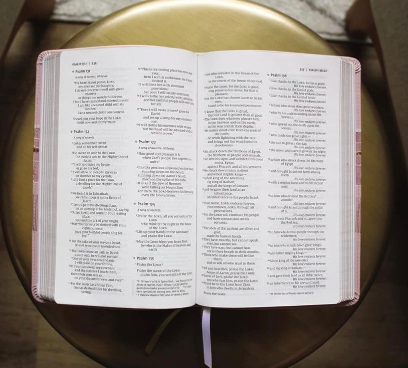 NIV, Thinline Bible, Leathersoft, Pink, Red Letter, Comfort Print