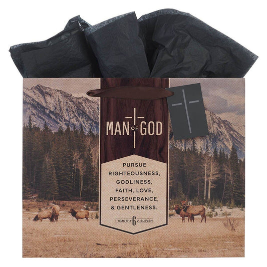 Gift Bag LG Landscape Man of God 1 Tim. 6:11