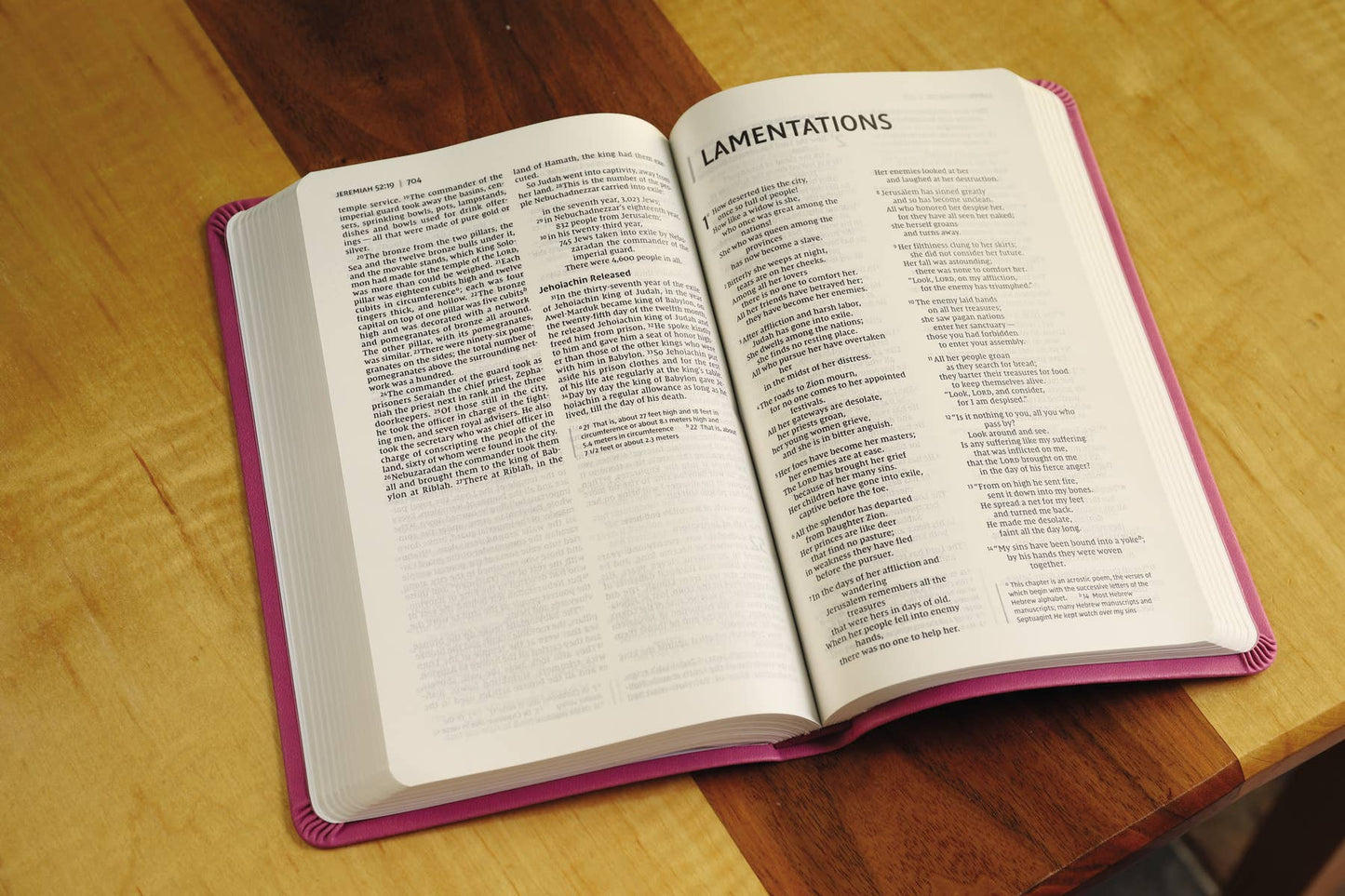 NIV Value Thinline Bible Leathersoft Pink