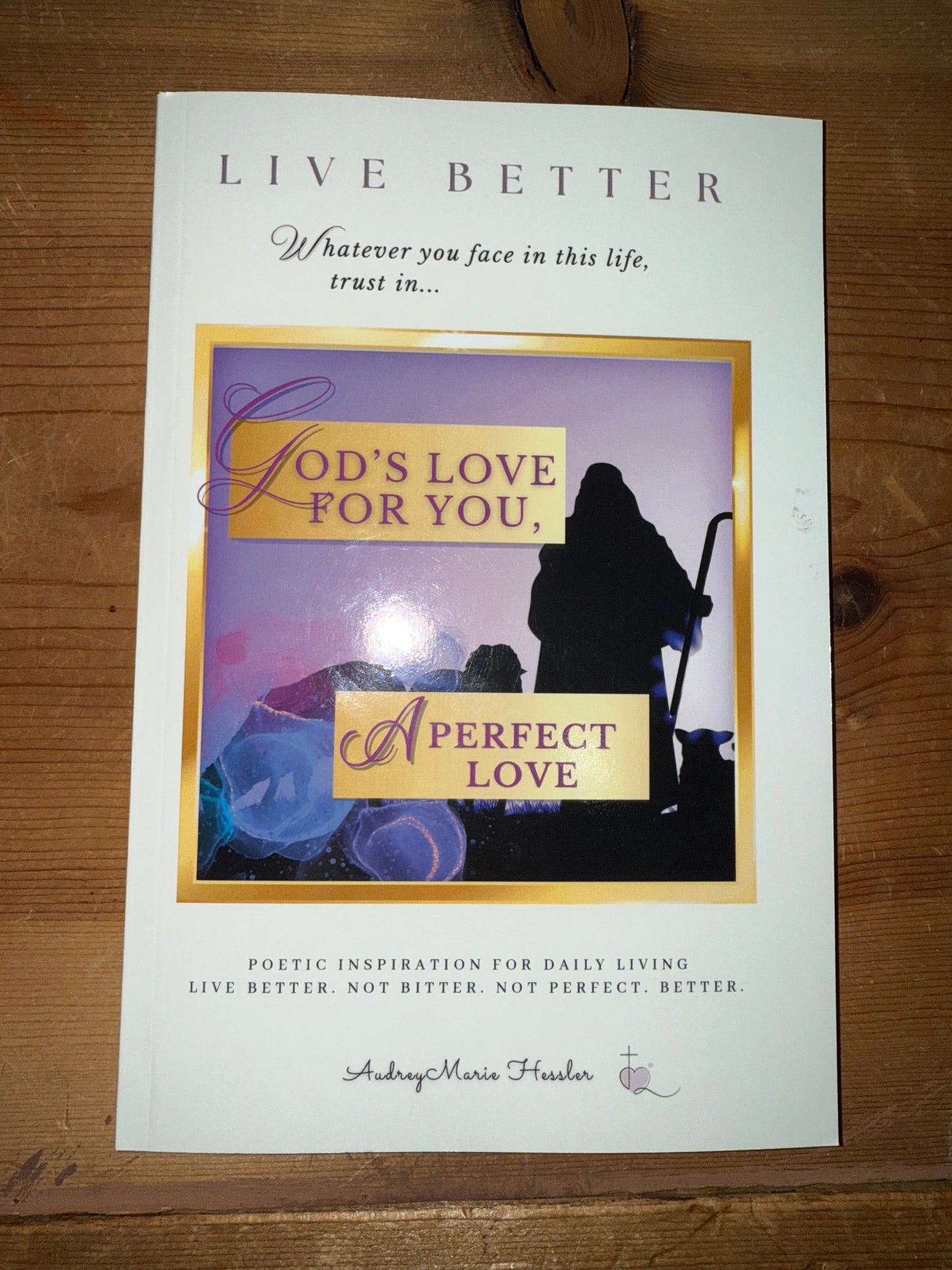 Audrey Hessler’s Books and Journals