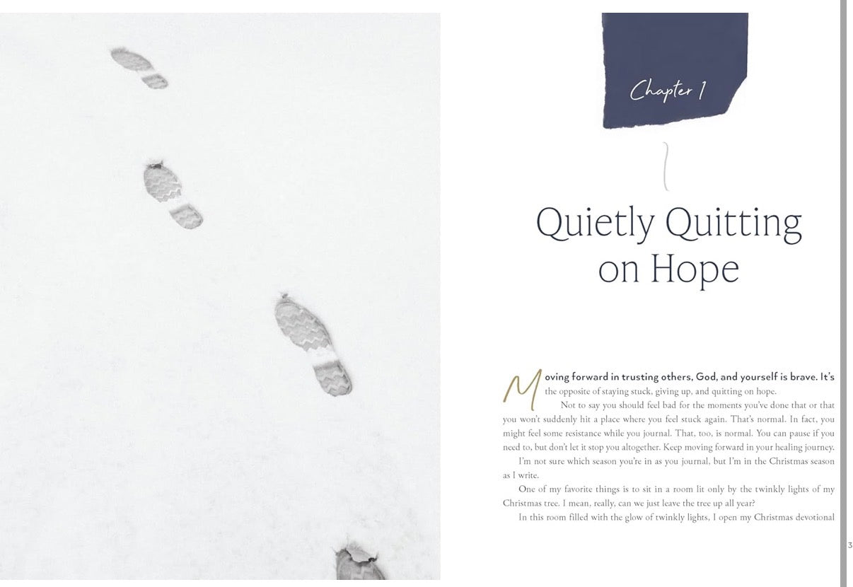 The Trust Journey-Lysa Terkeurst