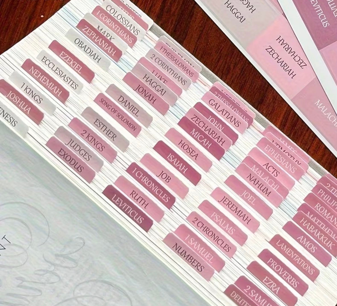 Pretty in Pink Bible Tabs