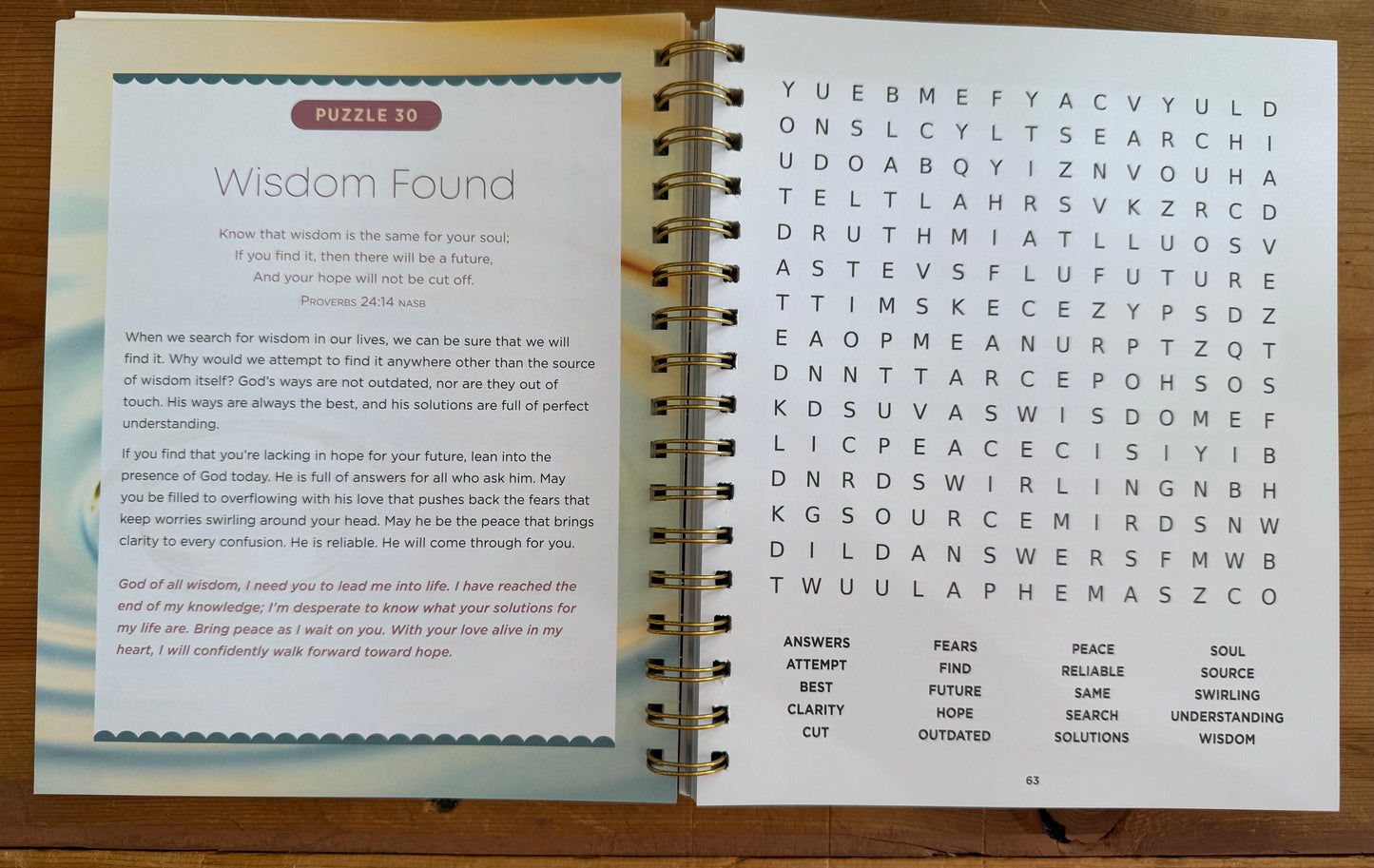 Strength for Depression and Anxiety Word Search Devotional