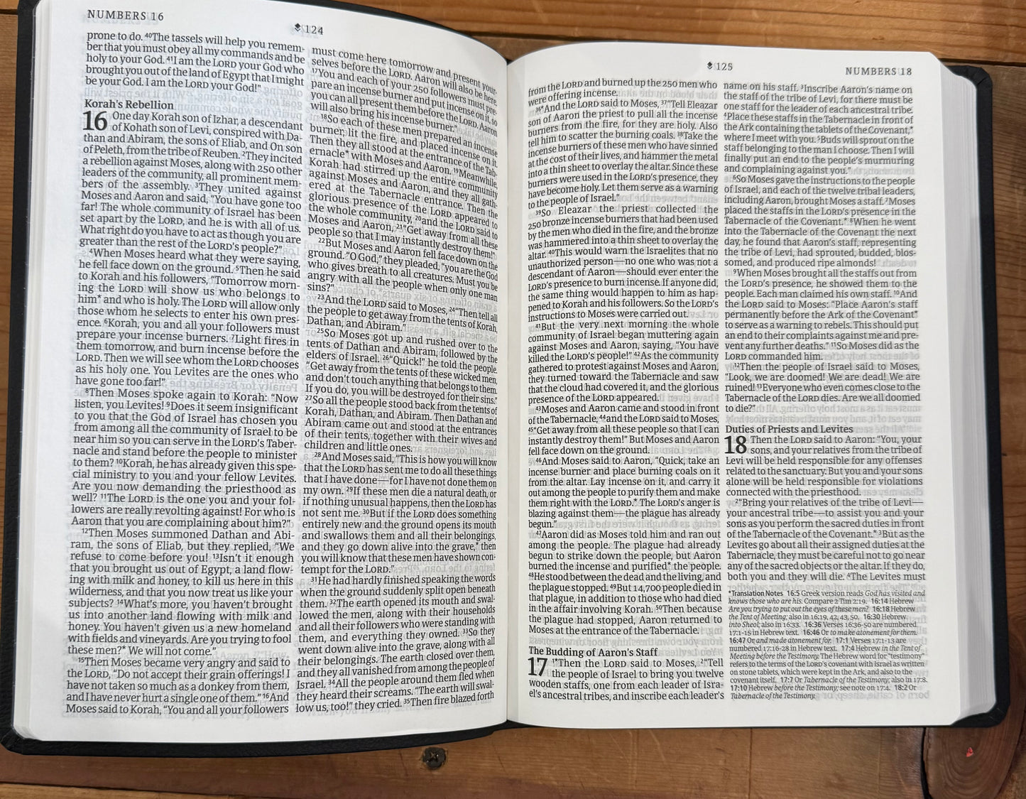 NLT Large Print Premium Thinline Bible-Black Cross Leatherlike