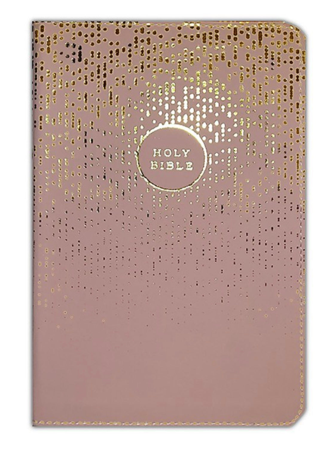 NIV Thin-line Bible For Teens