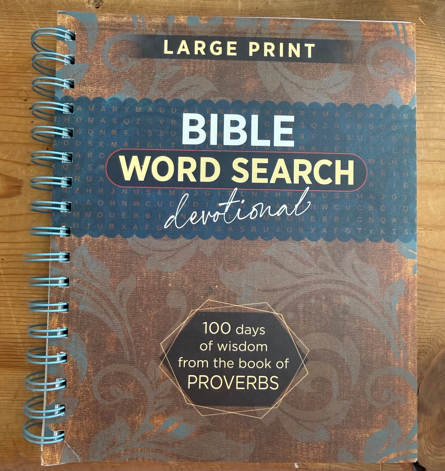 Book of Proverbs Word Search Devotional