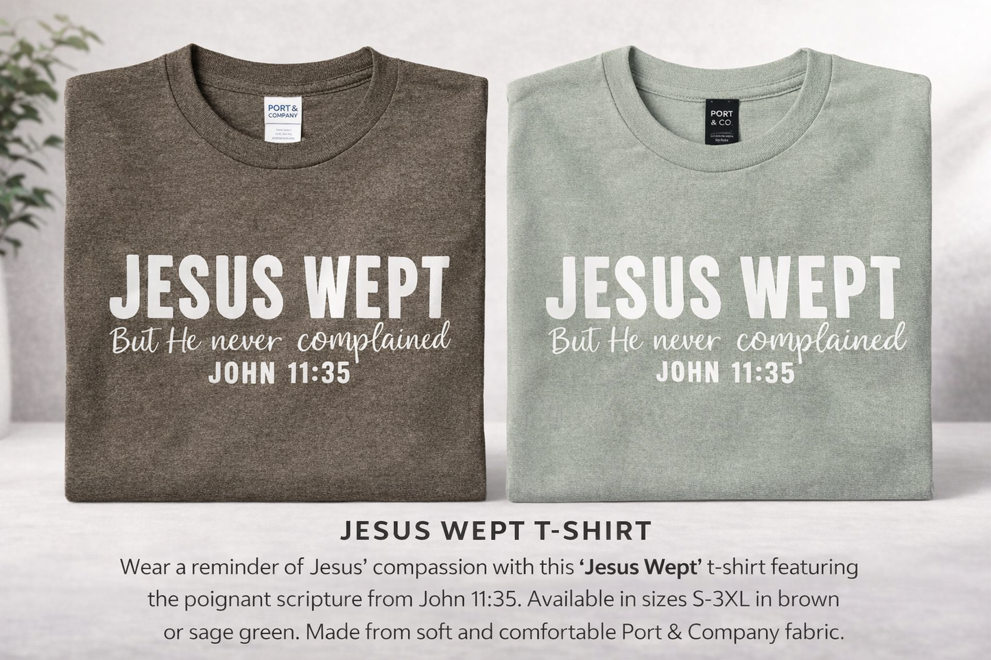 Jesus Wept T-Shirt
