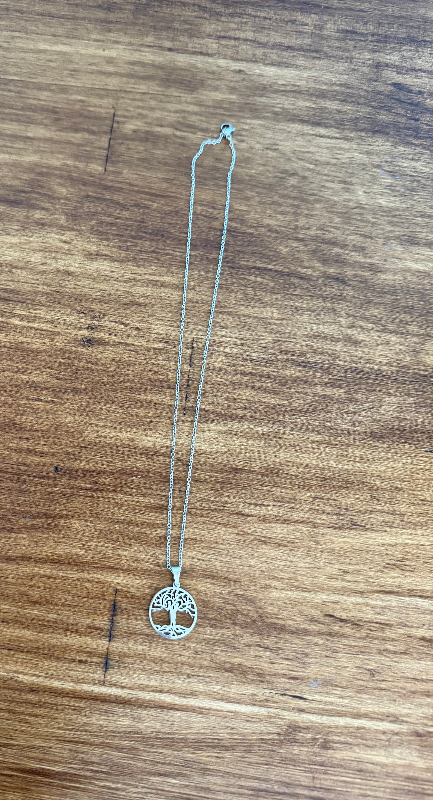 Stainless Steel Necklace
