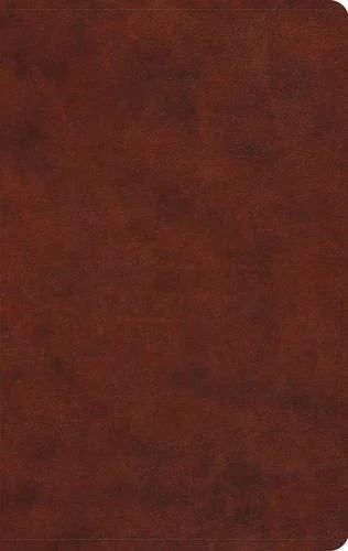 ESV Large Print Thinline Bible-Chestnut