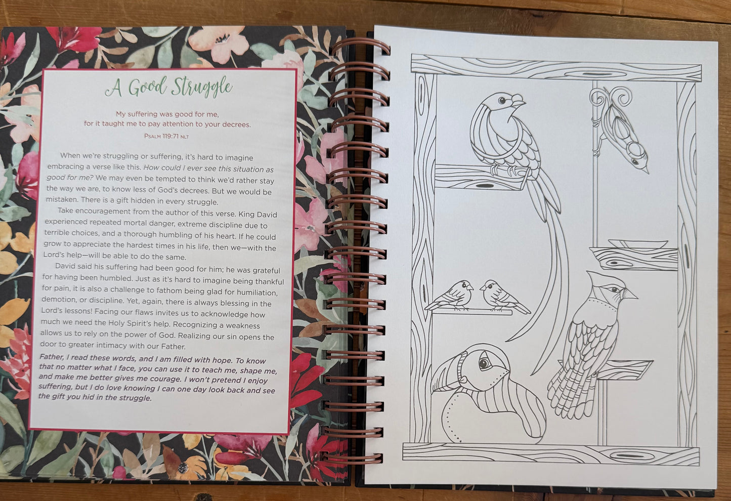 Think on These Things Devotional Coloring Book