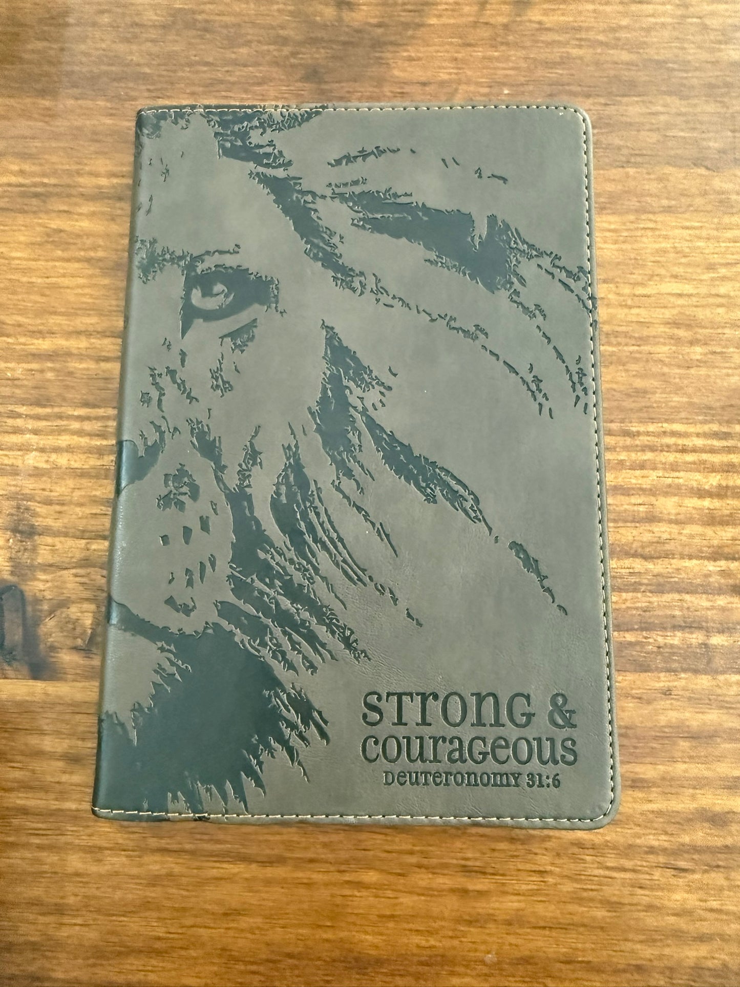 Men's Strong & Courageous Deut 31:16 Journal