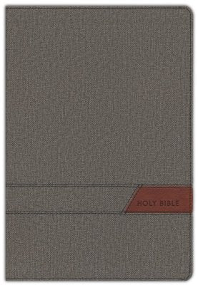 NIV Large‑Print Thinline Bible – Cloth Flexcover, Gray