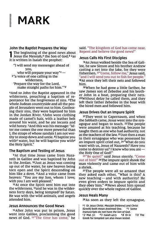NIV Large‑Print Thinline Bible – Cloth Flexcover, Gray