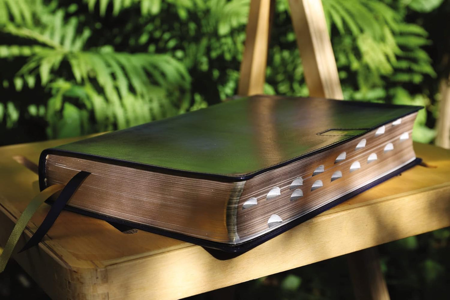 NIV, Thompson Chain-Reference Bible (Thumb-Indexed, Revised and Updated, Navy, Leathersoft)