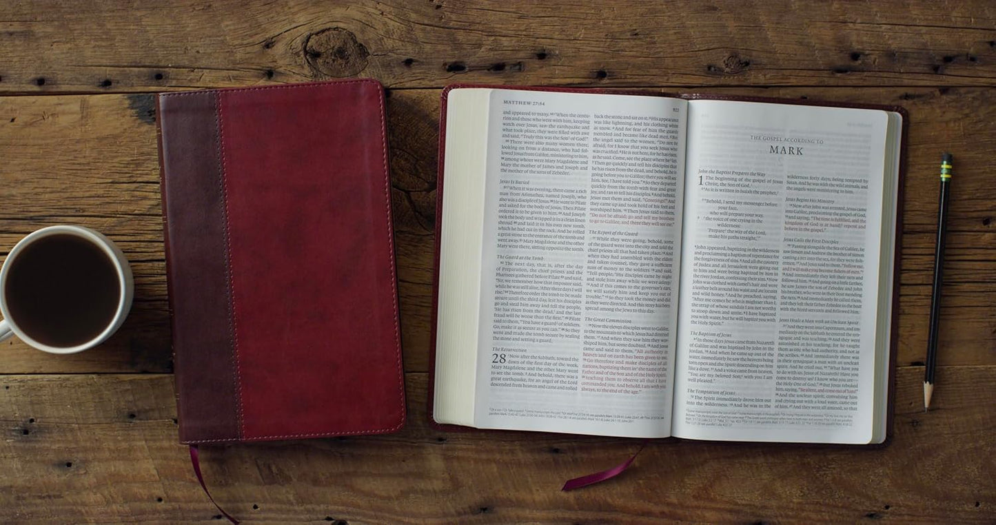 ESV Holy Bible Large Print Thinline (TruTone, Burgundy/Red, Timeless Design)