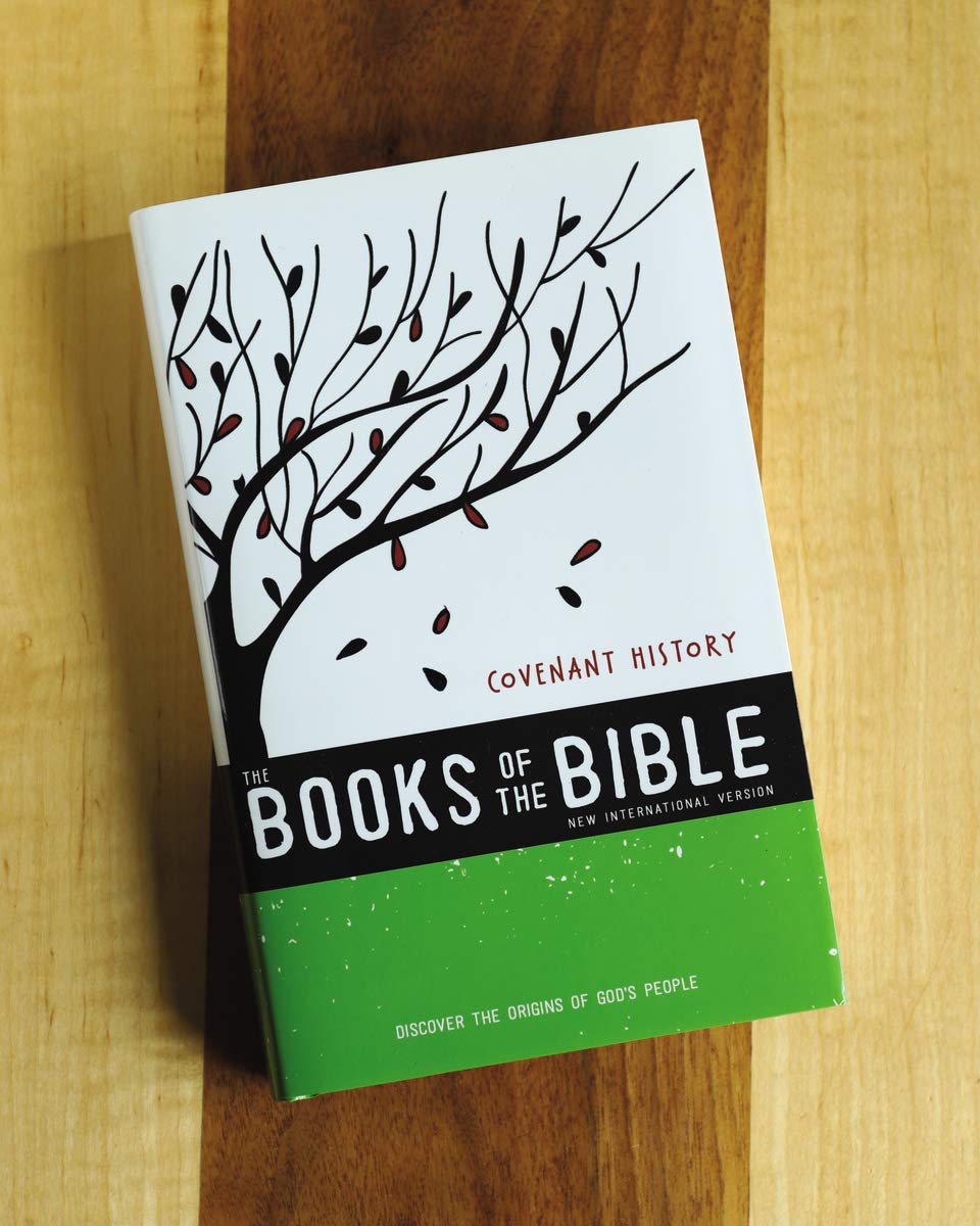 NIV The Books of the Bible: Covenant History (Part 1)