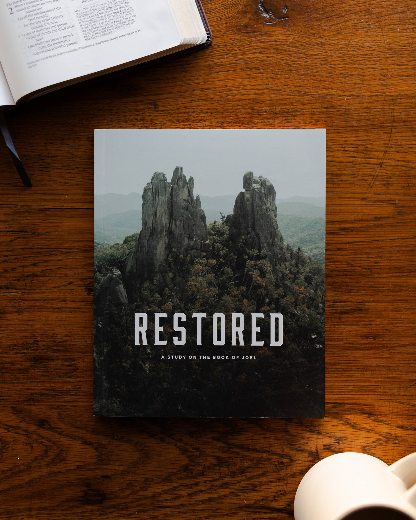 Restored Men's Bible Study