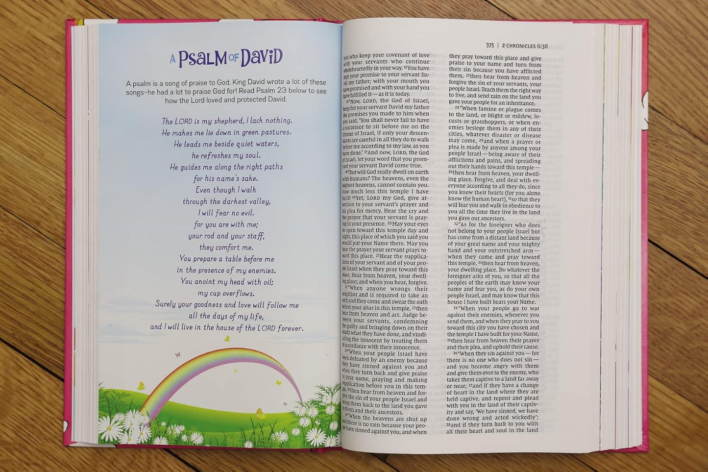 NIV, God's Rainbow Holy Bible