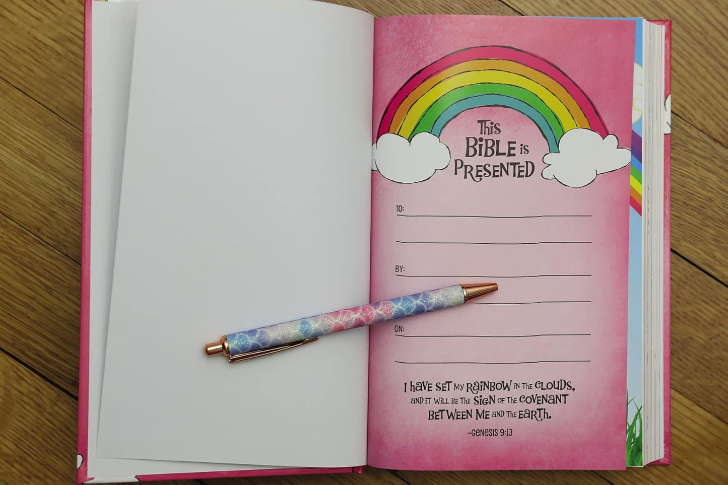 NIV, God's Rainbow Holy Bible